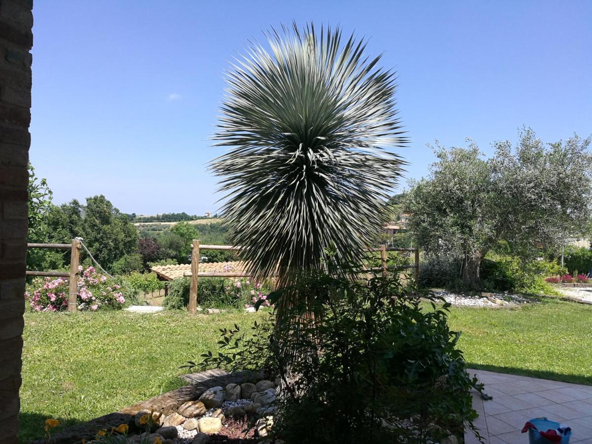 Agriturismo San Michele *