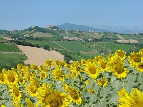 Agriturismo San Michele Country house *