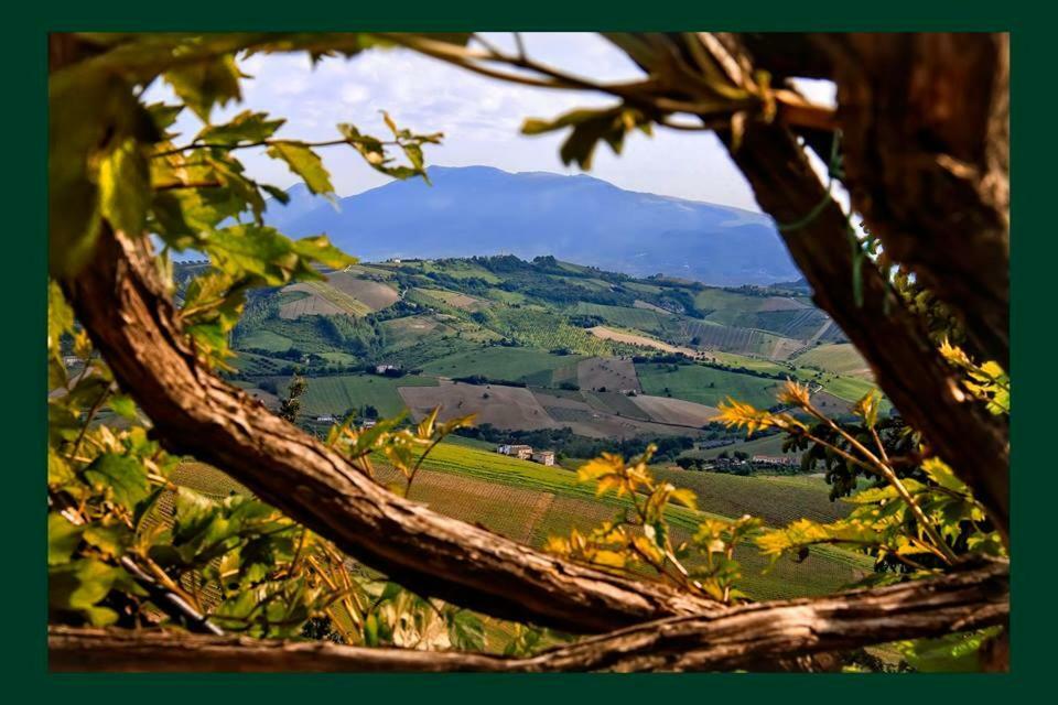 Country house Agriturismo San Michele *